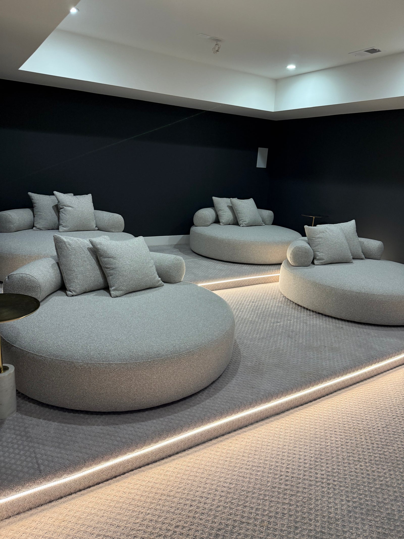 Contemporary Retreat in McLean living room in McLean Virginia featuring the Spector Round Daybed