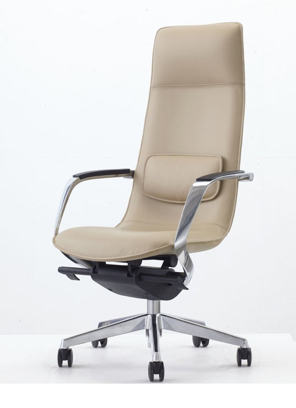 Proctor Modern Beige High Back Executive Office Chair